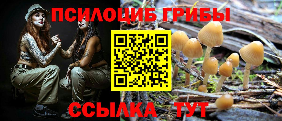 Псилоцибиновые грибы MAGIC MUSHROOMS  Вход с VPN  Лыткарино  Галлюциногенные грибы Cubensis 